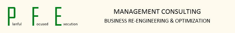 PFE Systems, Inc.  Management Consulting, Business Re-engineering & Optimization
